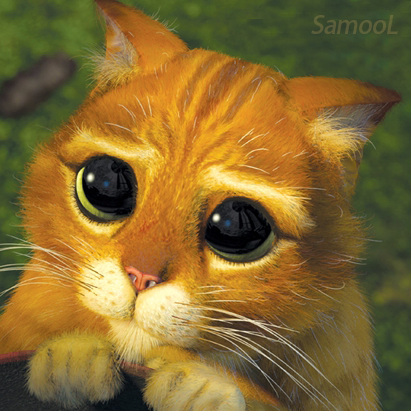 SAMOOL